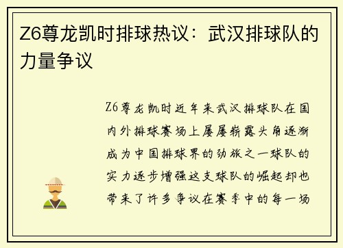 Z6尊龙凯时排球热议：武汉排球队的力量争议