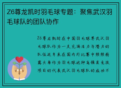 Z6尊龙凯时羽毛球专题：聚焦武汉羽毛球队的团队协作